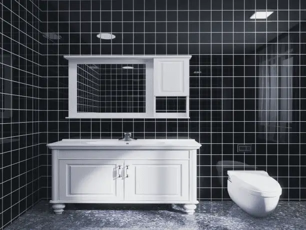 Black and white bathroom inspiration