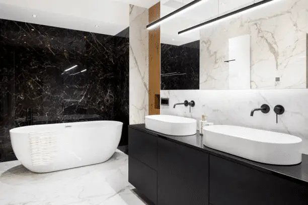 Elegant black and white bathroom decor