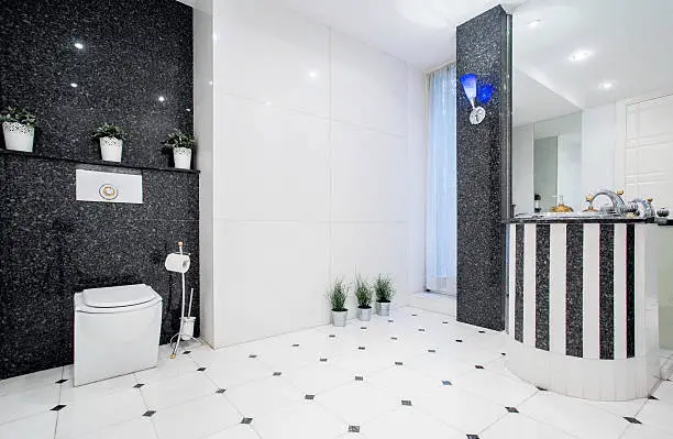 Elegant black and white bathroom